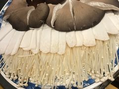 -董家湾重庆老火锅(嘉华店)