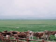 -新疆那拉提国家旅游度假区