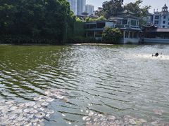 -荔湾湖公园