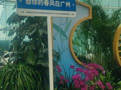 -广州白云国际机场-T2航站楼