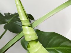 -世纪联华超市(浦电路店)