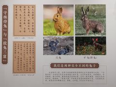 -重庆中国三峡博物馆(重庆博物馆)