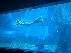 -北戴河圣蓝海洋公园