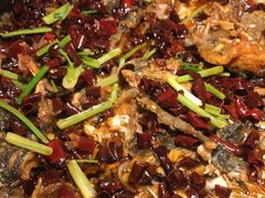 -老板恋上鱼(高新万达店)