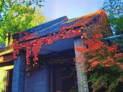 -香山公园