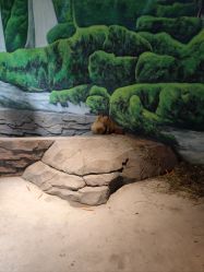 -长沙云顶星河游乐园(步步高·梅溪新天地店)