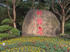 -野狸岛