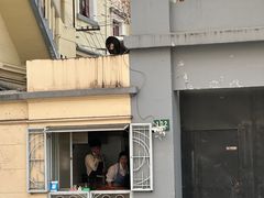 -洋洋锅贴