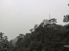 -缙云山景区