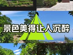 -石老人观光园