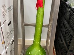-盒马X会员店(上海森兰商都店)