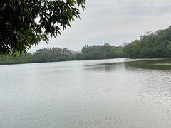 -三水森林公园