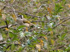 -苏州河梦清园环保主题公园