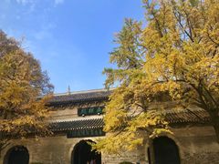 -灵谷景区