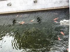 -太平禅寺