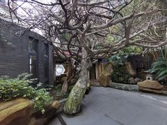 -竹吟山房