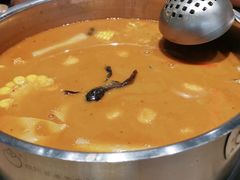 -杨翔豆皮涮牛肚(华阳城店)