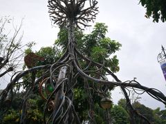 -圣淘沙名胜世界