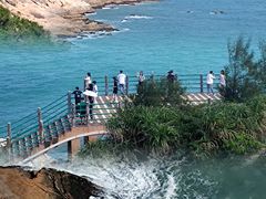 -广东惠东海龟国家级自然保护区