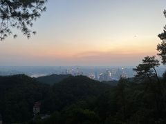 -大金鹰园