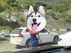 -白草畔自然风景区