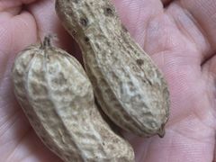 -绝城芋儿鸡(犀浦旗舰店)