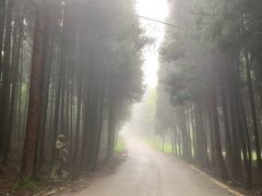 -武陵山森林公园