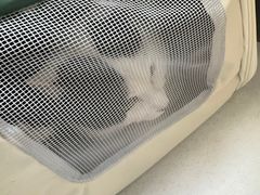 -美联众合24小时动物医院(华苑分院)