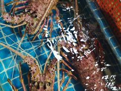 -无锡天鹏食品城