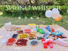 -南宁良凤江国家森林公园