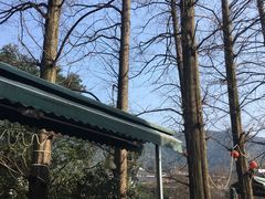 -欣怡茶庄·始于1999(梅家坞店)