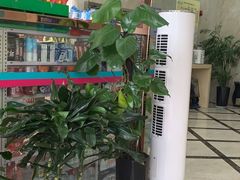 -速8酒店(西安电视塔自然博物馆店)