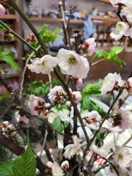 -今日陶艺(富力广场店)