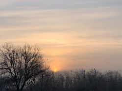 -周大福 CHOW TAI FOOK(新世界百货崇文店)