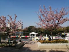 -新江湾城公园