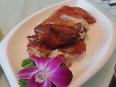-凯鸽酒楼(水泉湾龙园店)