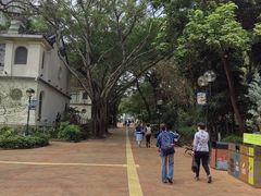 -九龙公园