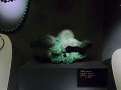 -湖南省地质博物馆