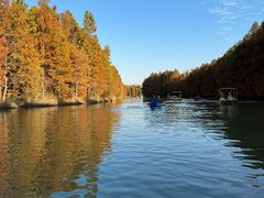 -上海海湾国家森林公园