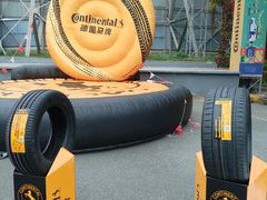 -枫花园汽车电影院(朝阳公园店)