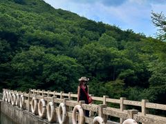 -龙道沟景区