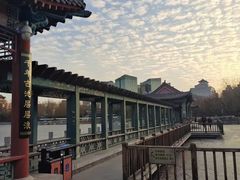-莲花池公园
