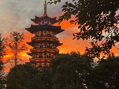 -洋湖国家湿地公园