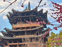 -杭州半山国家森林公园