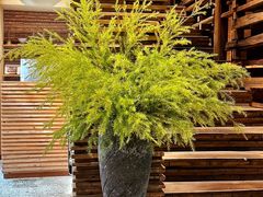 -天水蔬食料理(树德之光店)