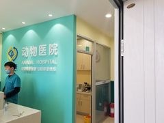-美迦爱-动物医院·骨科·牙科·夜诊(朝阳路诊疗中心)