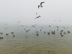-海驴岛(荣成市)