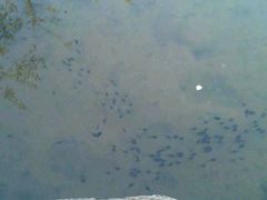 -杭州城北体育公园