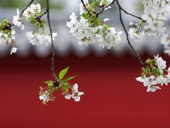 -明蜀王陵(地铁站)