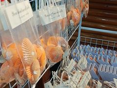 -蓝湾碧波·老字号·疍家非遗海上餐厅